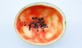 用勺子吃无籽瓜可以吗视频,勺子轻松享用，视频教你轻松学会