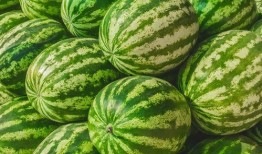 去哪里找最新吃瓜视频