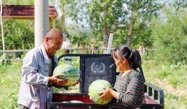 新疆老爷爷吃瓜视频,瓜香四溢，乐享晚年