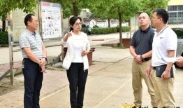 瓠瓜吃时用削皮吗视频教程,视频教程教你轻松处理