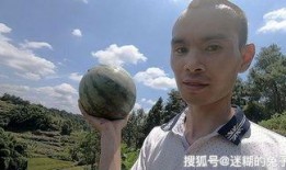亲手摘瓜吃现场视频播放,亲手摘瓜品尝，感受田园乐趣