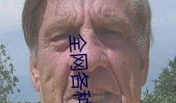 吃瓜视频都是在哪里看,吃瓜视频的观看秘籍