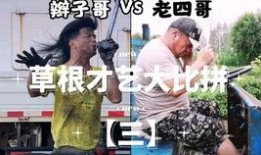 一只笨鸟吃瓜的故事视频,一场爆笑的意外之旅
