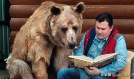 萌熊小叔吃瓜视频,揭秘娱乐圈幕后故事