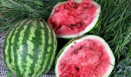 西瓜视频在哪里吃瓜,畅享“吃瓜”盛宴，解锁热门视频新姿势