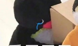 画饼甩锅吃瓜视频大全集,视频全集深度解析