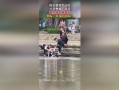 新兴吃瓜群众视频播放,新兴视频播放现象解析