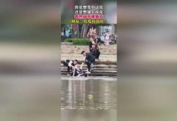 新兴吃瓜群众视频播放,新兴视频播放现象解析