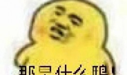 兰州吃瓜视频表情包下载,趣味横生的网络文化新宠