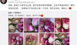 带货吃瓜视频,揭秘幕后真相与热门话题