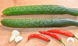 湖北骚瓜怎么吃最好吃视频,视频揭秘最佳美味秘诀