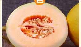 吃陕西黄河蜜瓜视频,陕西特色美食之旅