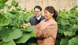 大棚吃瓜视频大全集,瓜果飘香视频大全集精彩回顾