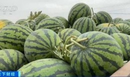 湖北宜昌吃瓜事件视频