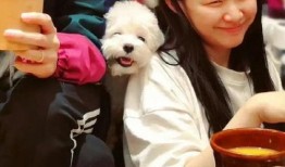 吃瓜的视频情侣头像大全,吃瓜视频中的甜蜜瞬间