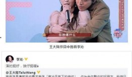 吃瓜爆料王大陆视频完整版,揭秘明星幕后生活片段