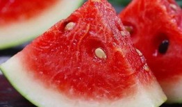 去哪里找最新吃瓜视频