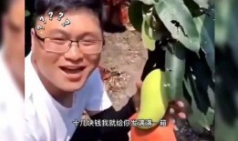 五大爆笑吃瓜视频,笑到肚子疼！