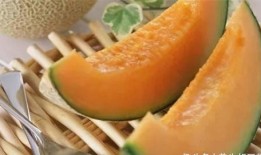 静儿吃哈密瓜视频播放