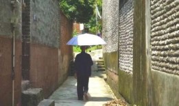 郑州花园吃瓜事件视频,一场引发热议的邻里冲突视频揭秘