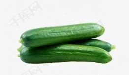 绿树吃瓜的视频下载软件,轻松下载视频，畅享娱乐时光