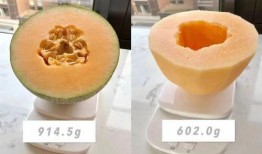 一个人吃哈密瓜的视频,一睹哈密瓜美味瞬间