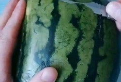 纯手工吃瓜视频,揭秘幕后真相！