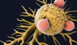 吃龙瓜能得癌症吗视频,专家解读食品安全疑虑