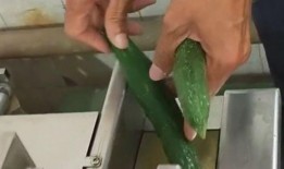 黄瓜的根瓜可以吃吗视频,可食用之谜