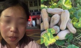 吃瓜村民妇女视频在线观看,在线观看背后的故事