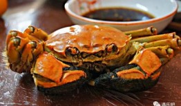 吃瓜哥卖螃蟹视频大全,一场味蕾与视觉的盛宴