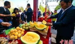 四川大学吃瓜视频最新更新,揭秘校园热点事件最新进展