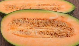 吃翡翠哈密瓜好吗视频,美味与营养的双重享受