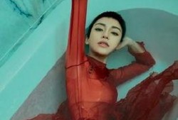 路人吃瓜拍视频怎么拍,揭秘如何捕捉热门事件瞬间