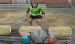 关于吃鸡瓜的视频