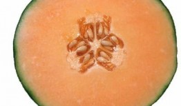 村长吃哈密瓜视频,现场直播甜蜜滋味