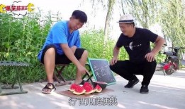 摆地摊帅哥吃瓜视频大全,摆地摊帅哥瓜果飘香，视频大全带你一网打尽