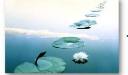 人生如梦吃瓜视频下载,揭秘热门吃瓜视频下载背后的故事