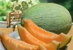 吃火焰山哈密瓜视频,揭秘火焰山哈密瓜的独特魅力