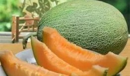 吃火焰山哈密瓜视频,揭秘火焰山哈密瓜的独特魅力