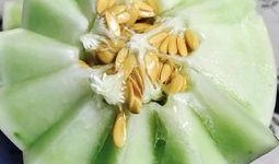 土豪吃蜜瓜的视频,土豪现场品尝顶级蜜瓜，奢华体验引网友热议