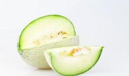 幼鸟可以吃哈密瓜吗视频