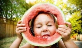 呆瓜喜欢吃西瓜吗视频讲解