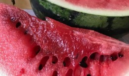 吃瓜视频看多了怎么办,吃瓜成瘾？揭秘如何摆脱“吃瓜”视频的诱惑