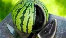 灵光一闪吃瓜视频,吃瓜视频带你领略娱乐圈瞬间