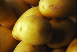 美业吃瓜视频素材图片,吃瓜视频背后的真实故事