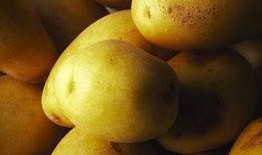 美业吃瓜视频素材图片,吃瓜视频背后的真实故事