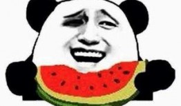 家里真有吃瓜群众吗视频,真实生活片段引发热议