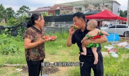 钢镚吃瓜视频,揭秘网络短视频背后的娱乐现象