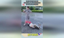 男子吃瓜群众摔倒视频真实,瓜还是别吃了？